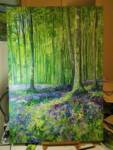 Forest and bluebells