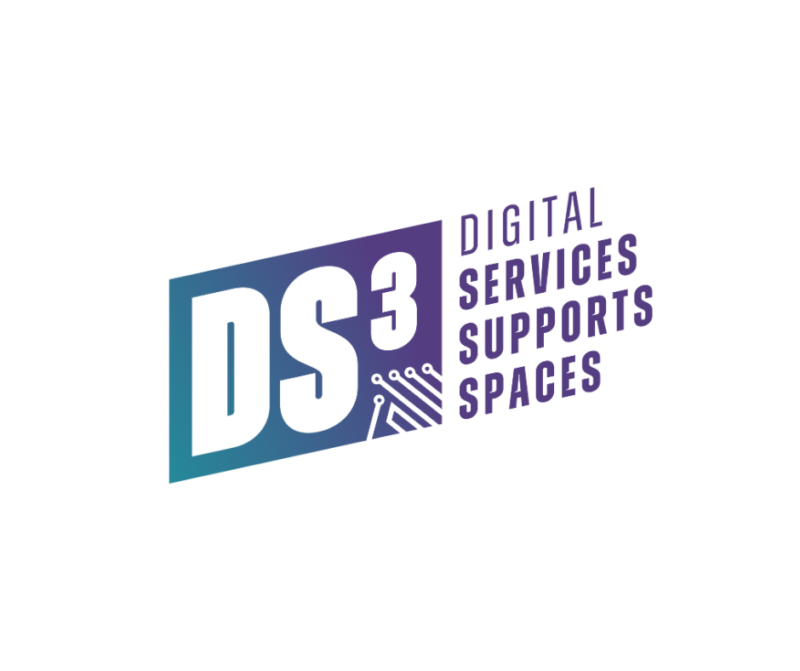 DS3 Primary Logo Canva